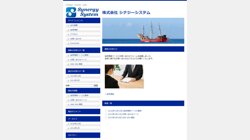 【千葉県柏市】株式会社シナジーシステムの口コミなど詳細情報